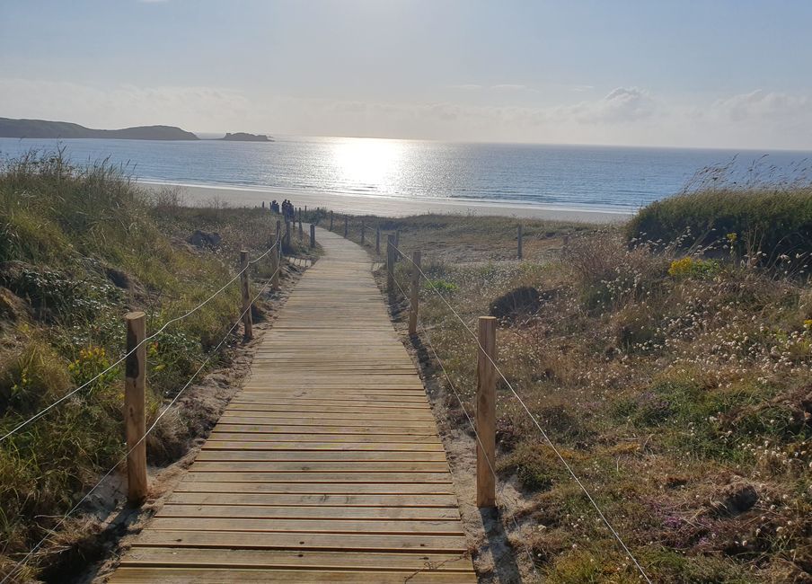 Path through the dunes to the beach
