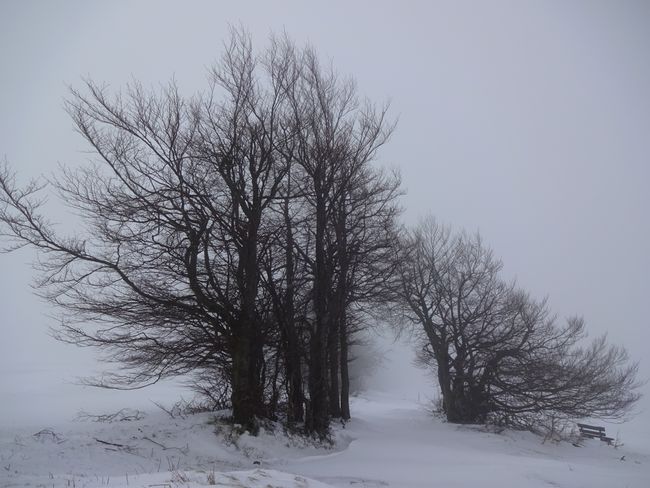 Mitten im Schneetreiben und Nebel öffnen sich plötzlich Wege