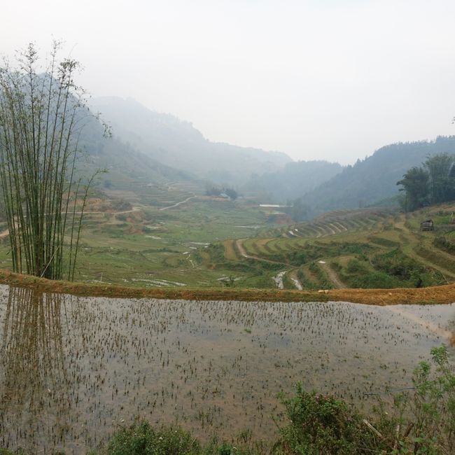 Surrounded by Rice Terraces