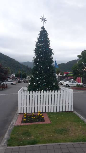 Christmas tree in Picton
