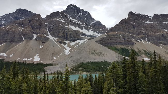 Bow Lake (am Icefields Parkway)
