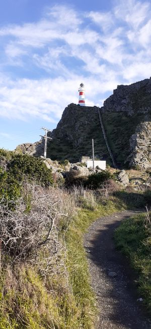 Cape Pallisier