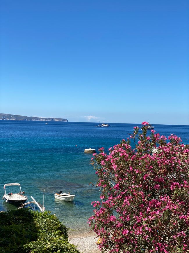 Die alte Frau und das Meer