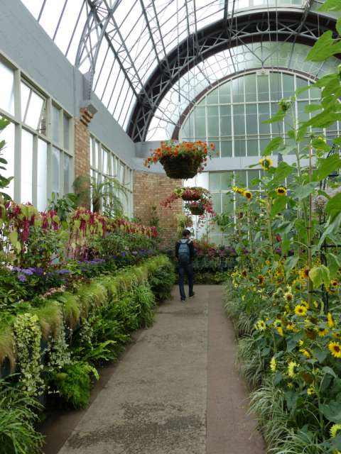 Super fragrant greenhouse with all kinds of flowers