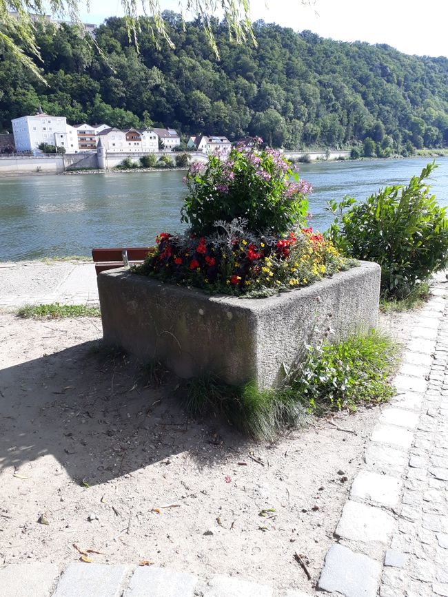 The Danube in Passau, just before the Inn flows into it.