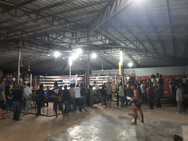Muay Thai Fight Arena