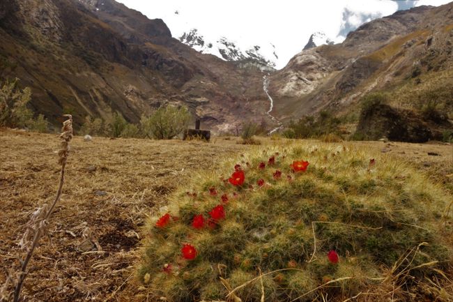 Peru - Huaraz, aljannar tafiya a arewa