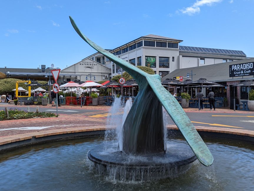 Hermanus
