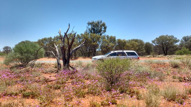 RT 33 - Alice Springs to Yulara
