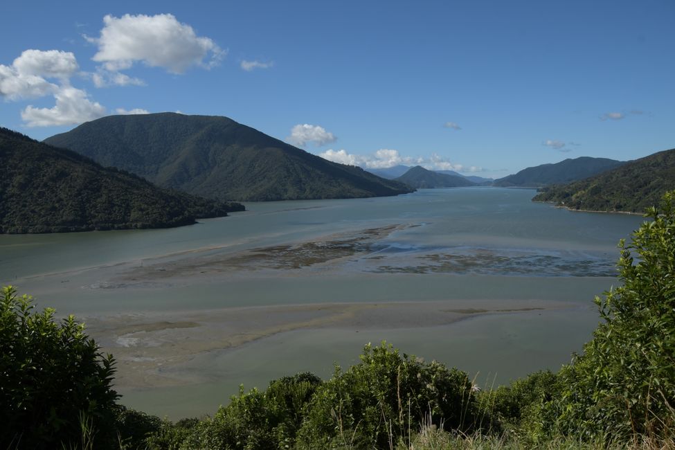 On the Queen Charlotte Drive: View into Pelorus Sound