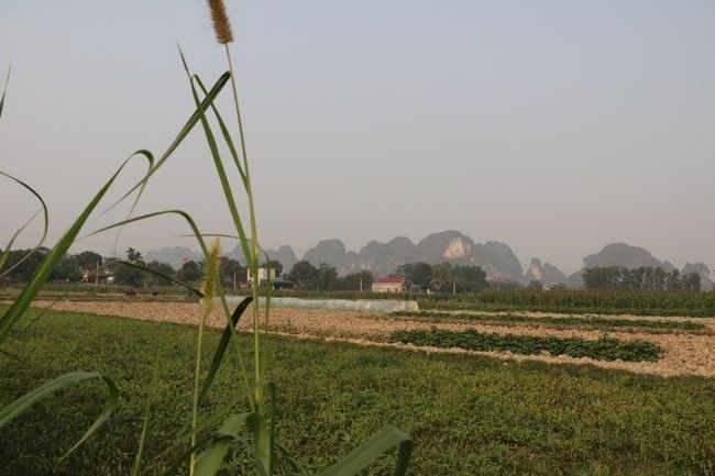 Typische Landschaft bei Ninh Binh