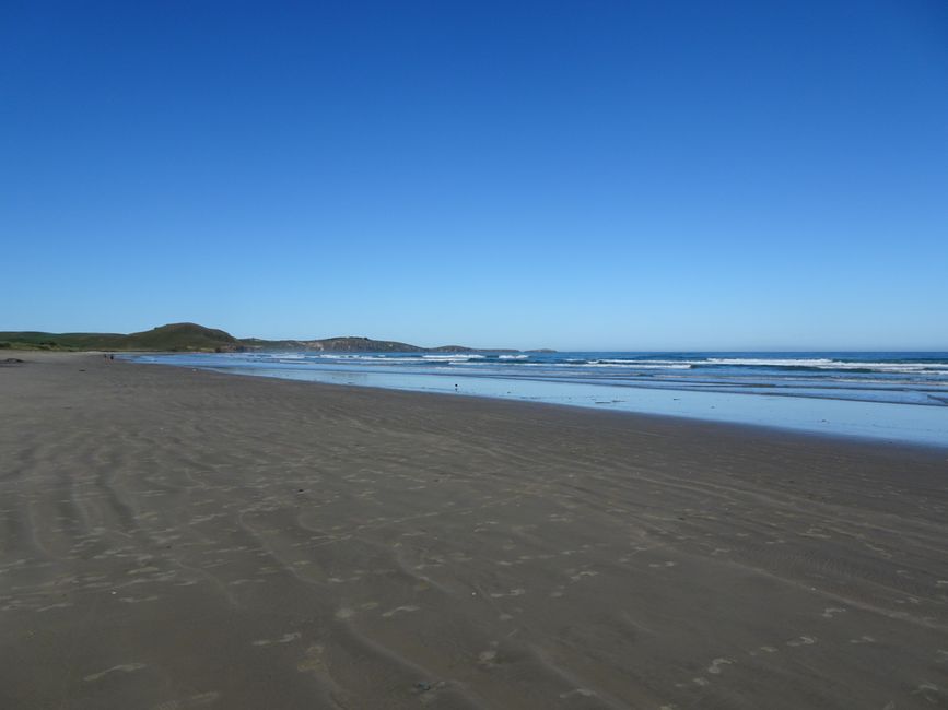 Mein erster Strand in Neuseeland, der Katiki-Beach