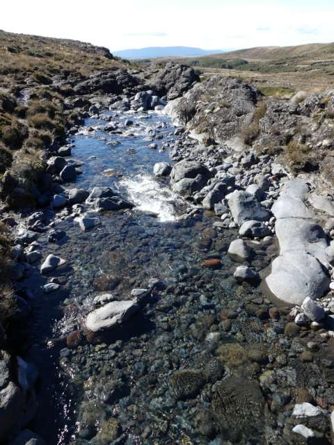 The mountain stream that turns into Taranaki Falls
