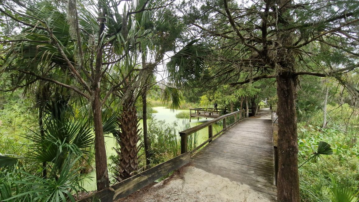 Magnolia Plantation and Audubon Swamp Garden