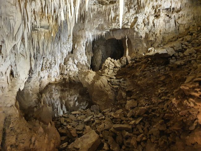 3.1.20 Ruakuri Caves und ab nach Norden