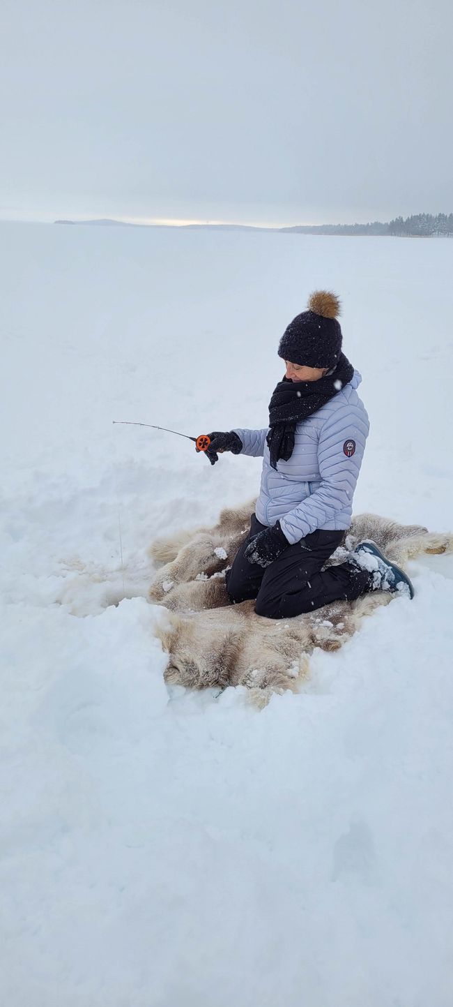 Luleå 7 de febrero de 2022