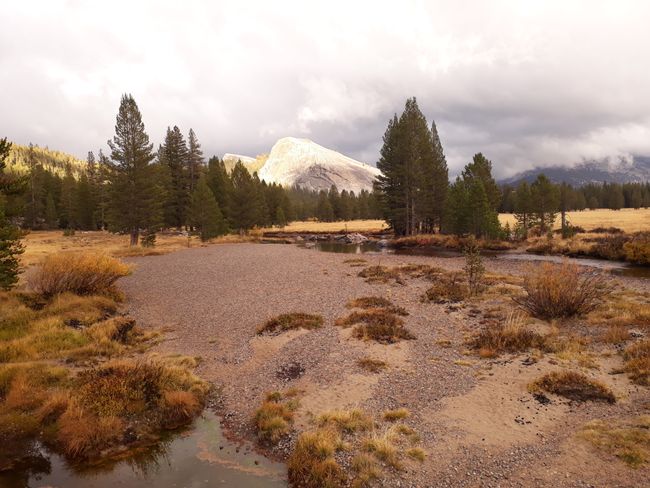 'Tuolumne Meadows' with Lembert Dome in the background