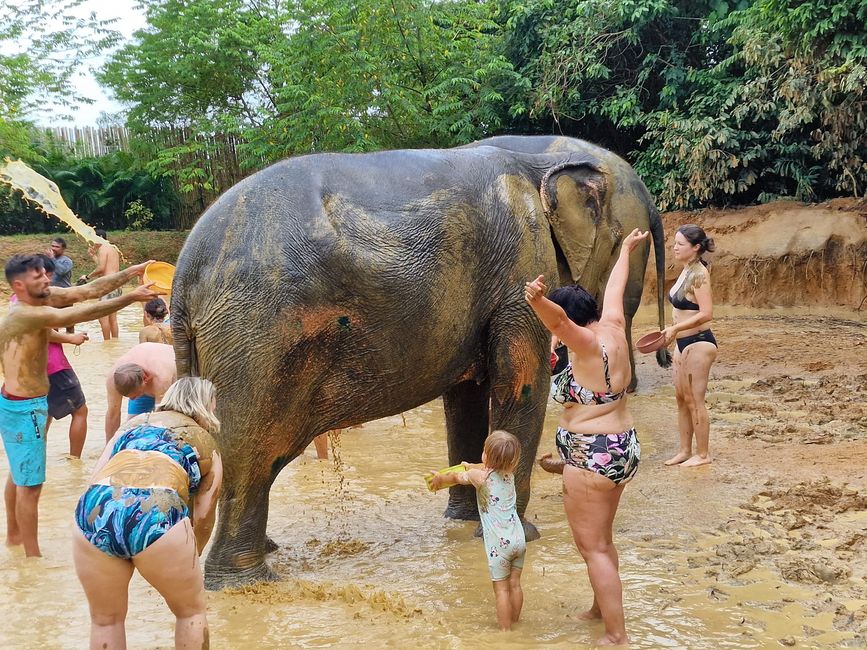 The Elephant Jungle Sanctuary in Phuket
