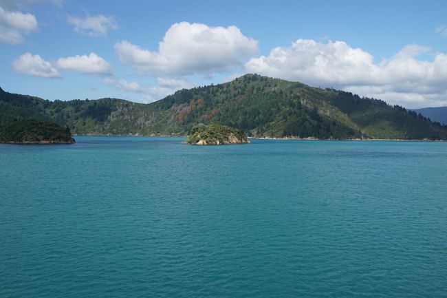 Napier, Wellington and Cook Strait