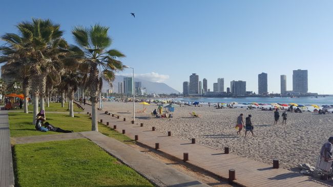 Iquique - ruhige Tage am Meer