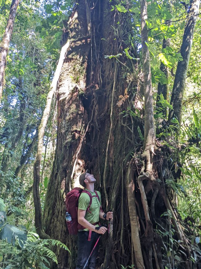 Stage 10: In the Palo Verde Cloud Forest surrounded by hummingbirds