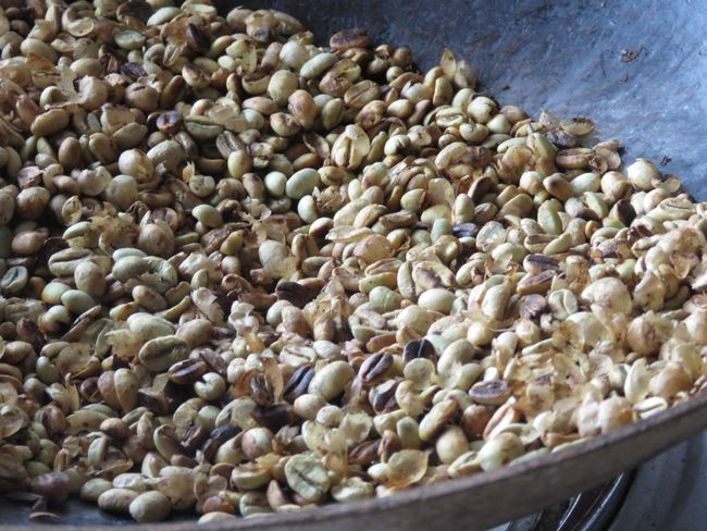 Green coffee beans, just before roasting