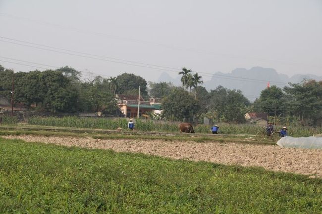 Typische Landschaft bei Ninh Binh