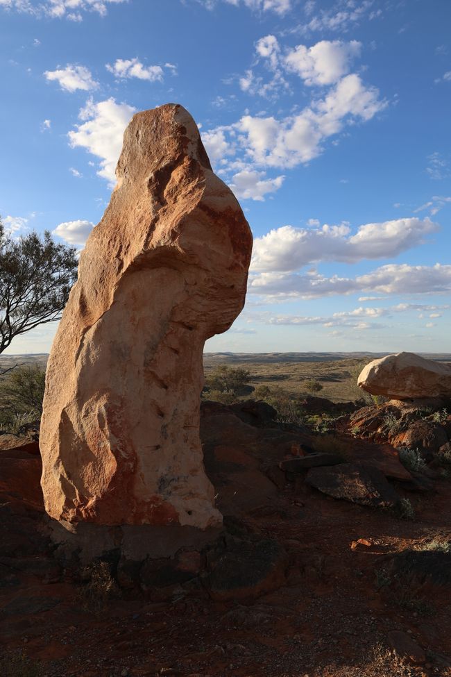 Living Desert State Park Afterlife (Australia)