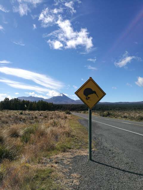 Tongariro Nasionale Park