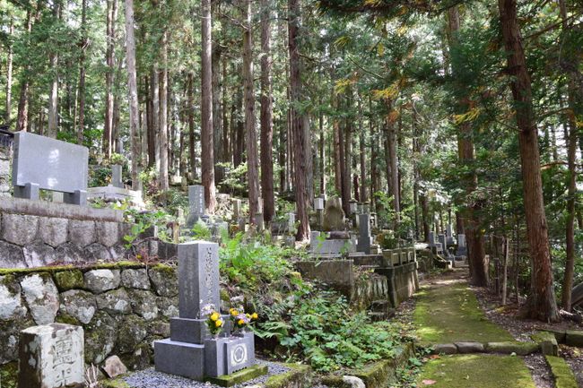 Friedhof im Wald