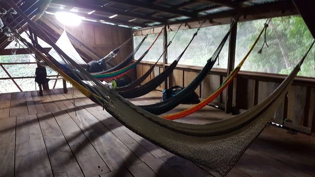 3 nights in a hammock camp