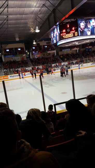 At the hockey game of the Owen Sound Attacks
