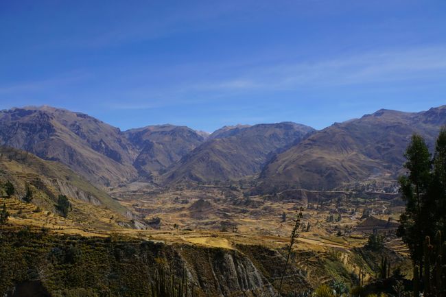 Peru: Wandern mit den 'Sexy Lamas'