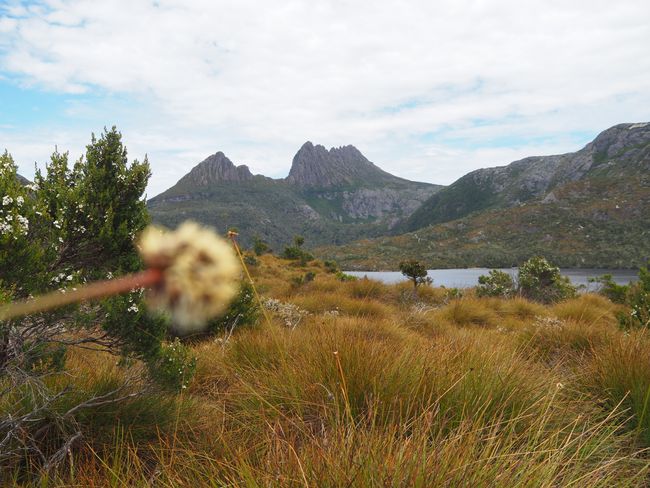 Cradle Mountain, Dove Lake Circuit, Wombats and a stunning sunset