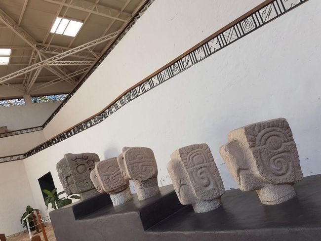 Maya Museum: Statuen von Guacamayas