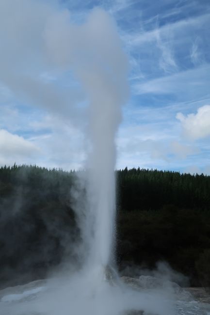 The geyser during the eruption. It can spray up to 20m high!