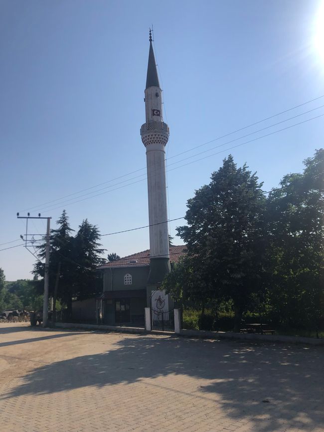 Mosche in Vaysal 