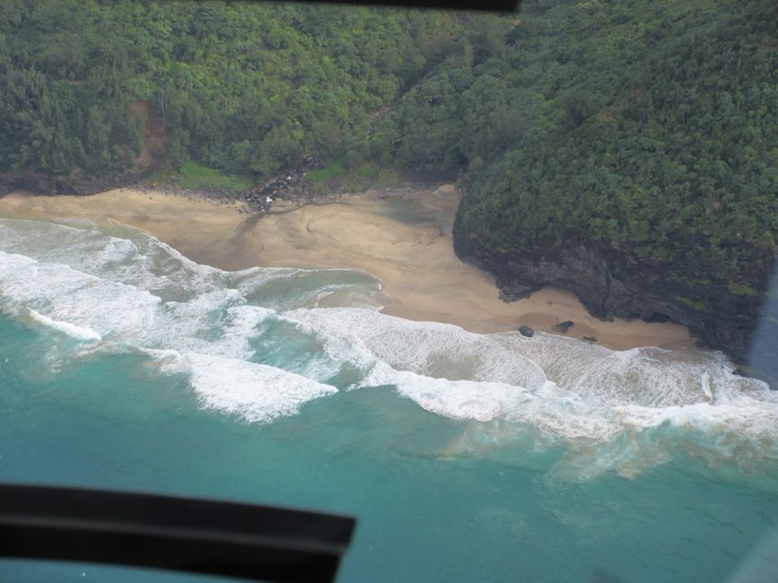 from the helicopter