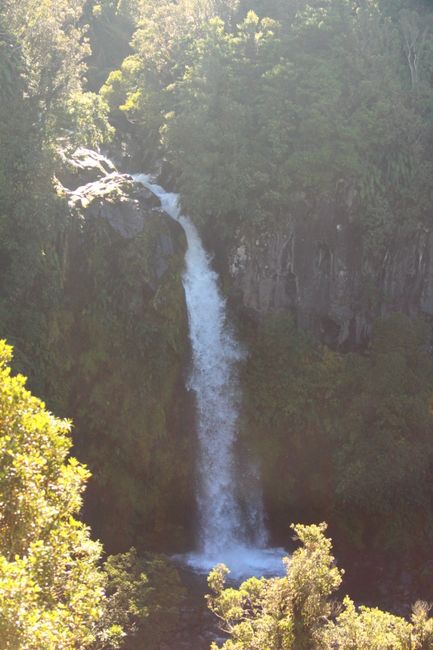 Mt. Taranaki und Egmont National Park