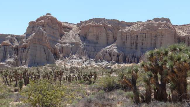Sandstone formations in Red Rock Canyon State Park