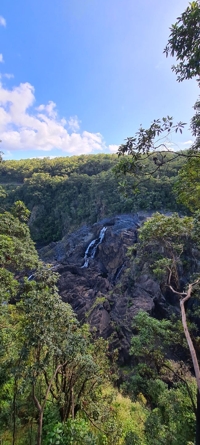 Day 14/15 - Kuranda