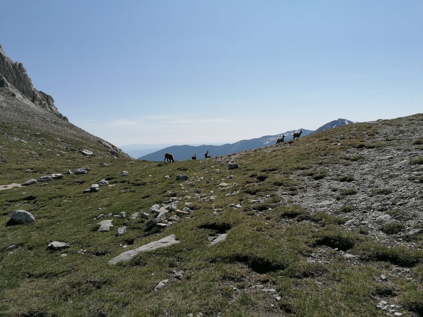 Bulgaria, Pirin Mountain