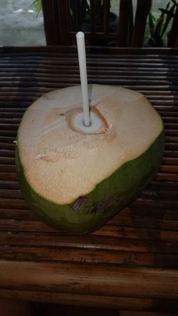 Dann gab es noch vor dem Kochkurs eine Kokosnuss. 