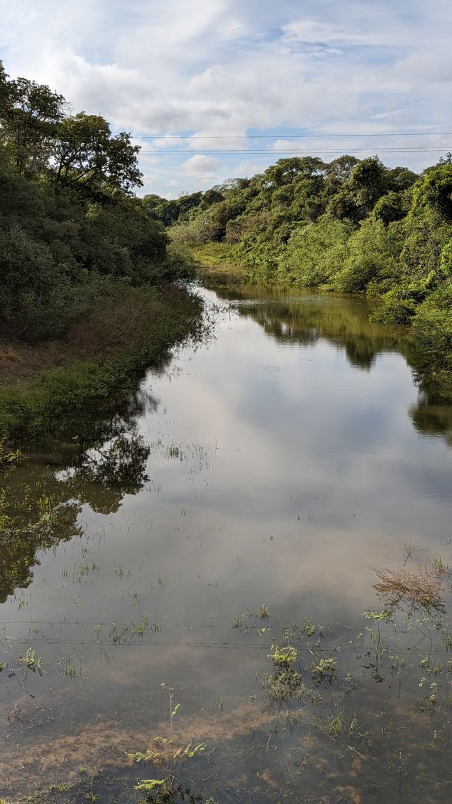 Aufenthalt im Süd Pantanal (Zusammenfassung)