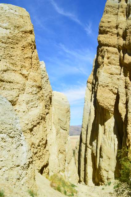 Dunedin, Omarama, and the Clay Cliffs