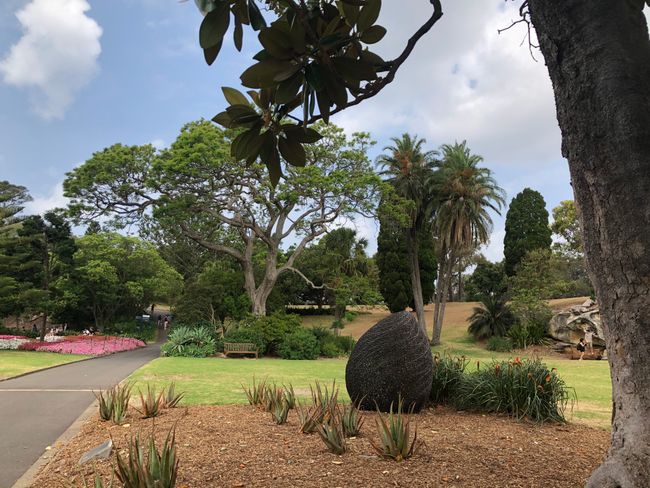 Sydney: Botanical Gardens + Art Gallery of NSW
