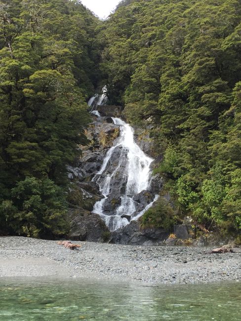 Excursion to the South of the West Coast - Haast