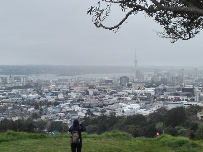 View of Auckland from Mt Eden