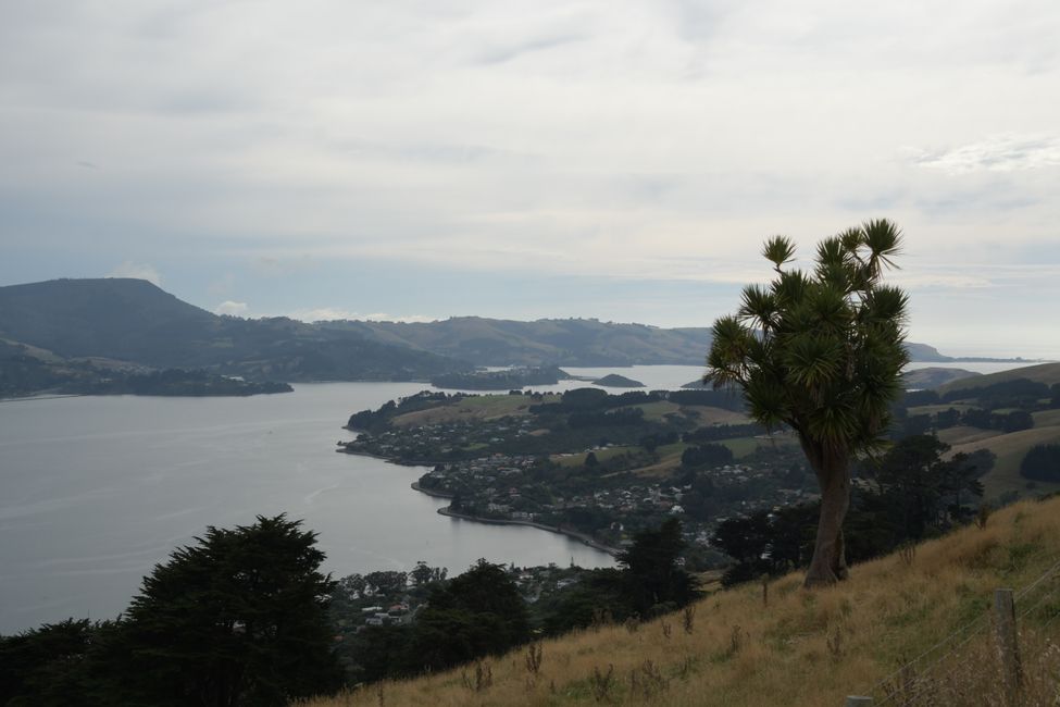 Otago-Halbinsel - Blick von der High Cliff Road