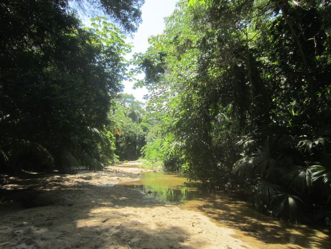 Colombia: Santa Marta and the Tyrona National Park